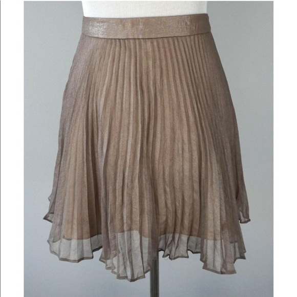 Club Monaco Dresses & Skirts - Club Monaco chiffon pleated skirt